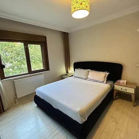 Spacious And Comfort Flat In Nisantasi 아파트 이스탄불